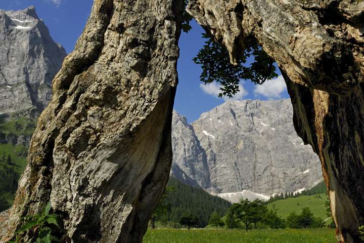 Grubenkarspitze von der Eng