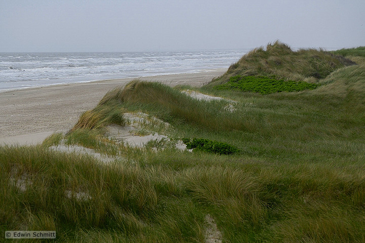 Dnenlandschaft der Nordsee