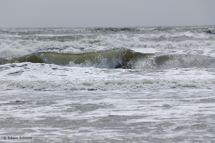 Flut im Wattenmeer