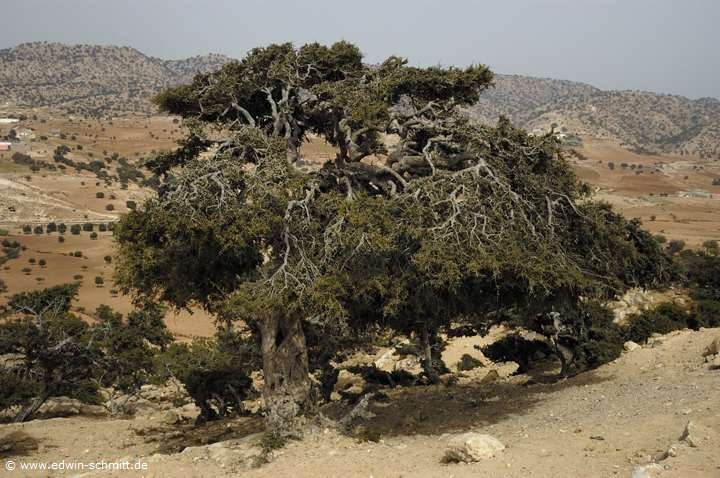 Agadir