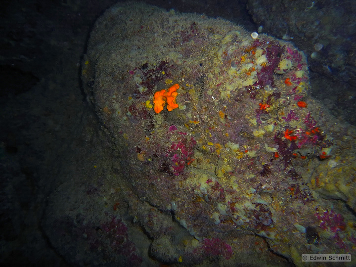 Mgarr Ix-Xini Cave