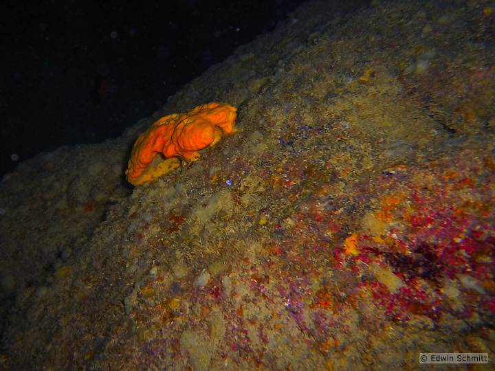 Xlendi Cave